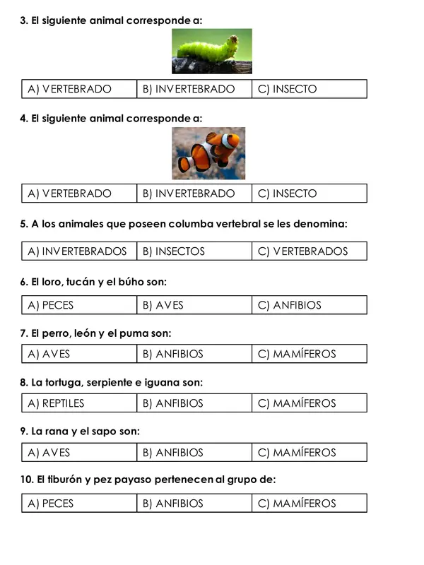 EVALUACIÓN CIENCIAS NATURALES VERTEBRADOS | profe.social