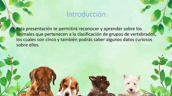 Los animales vertebrados.