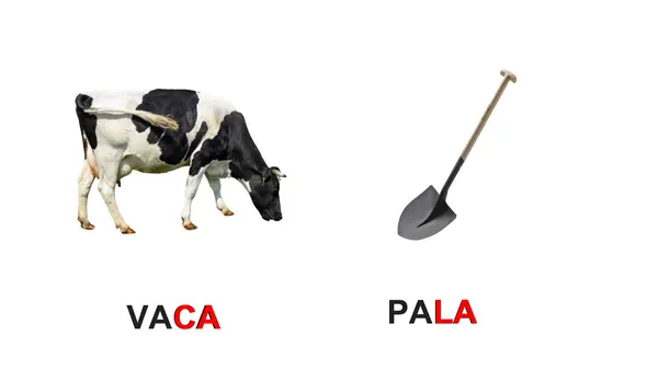 Descubriendo las Rimas