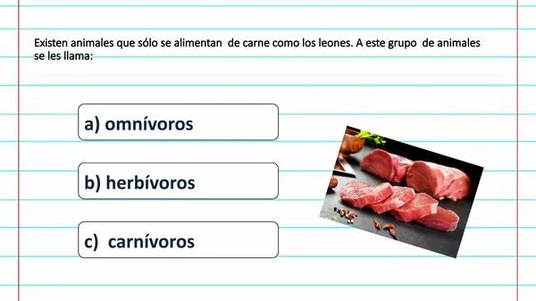 Alimentación Animales 1° básico 