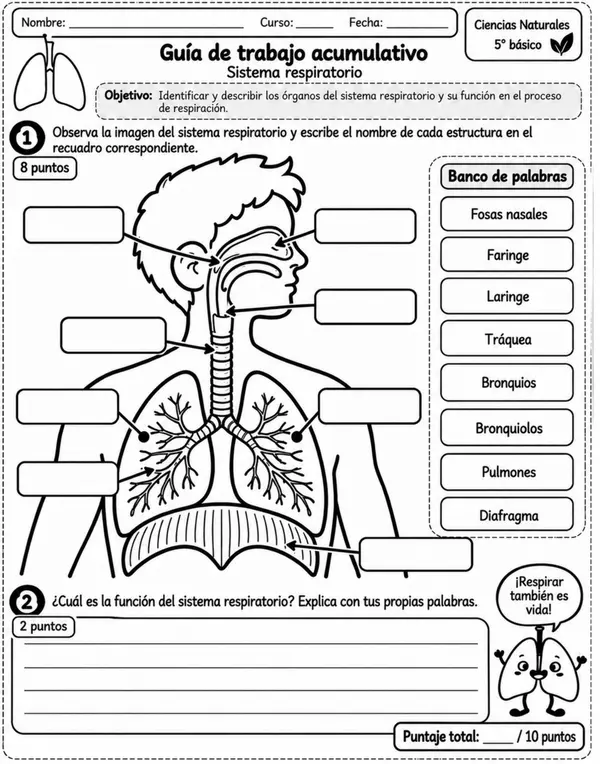 GUÍA SISTEMA RESPIRATORIO