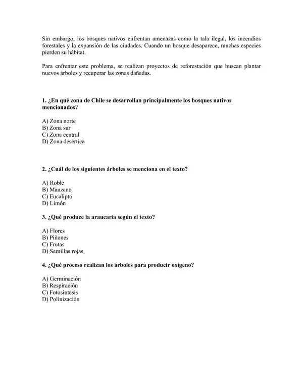 Ensayo SIMCE N°1 de leguaje para 6° Básico