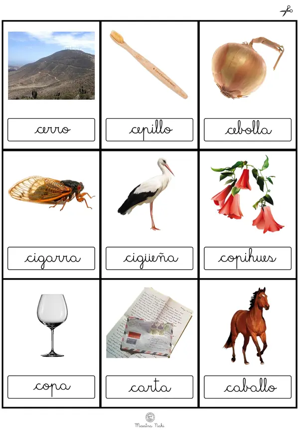 Tarjetas de elementos con inicial A-Z. Ligada.