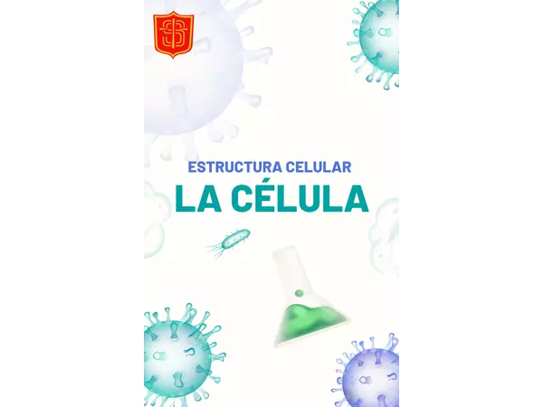 e-book Célula