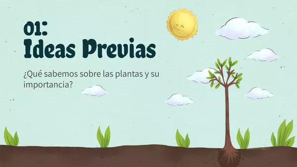 PPT Importancia de las Plantas