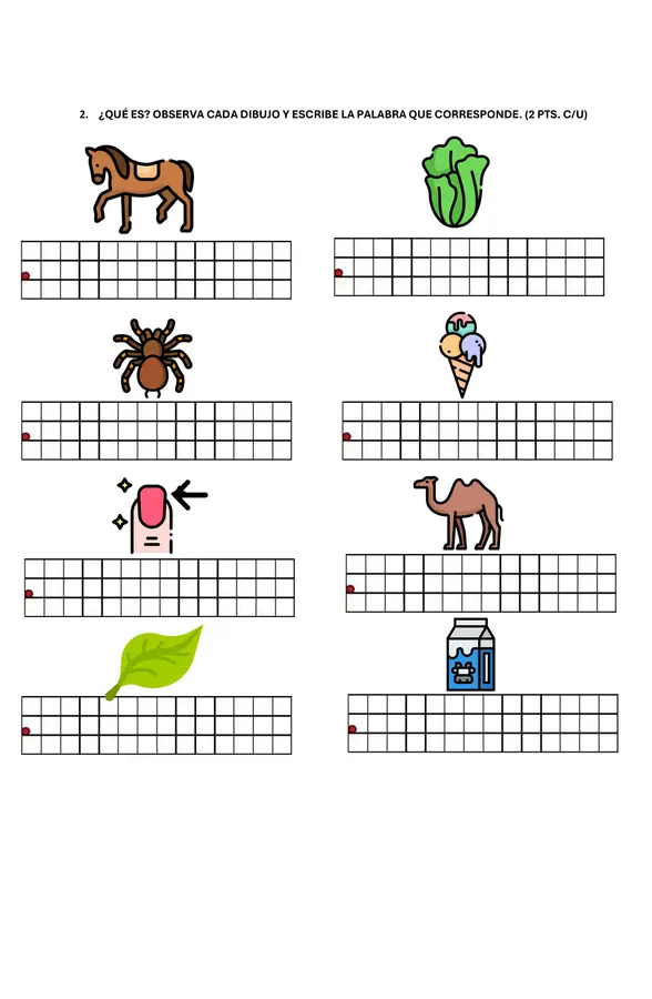 Evaluación Metodo Matte hasta lección caballo.