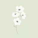 Imnes Pomce - @imnes.pomce1
