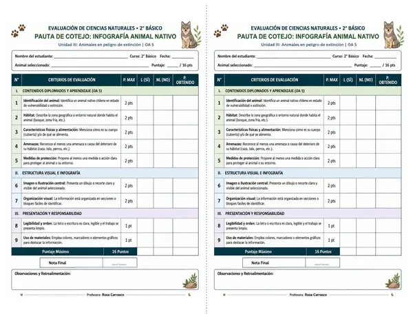 Pauta de cotejo infografía"