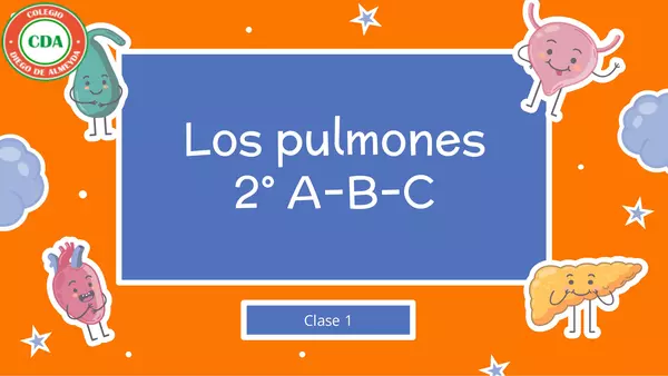 LOS PULMONES Y EL ESTOMAGO (2 BÁSICO)