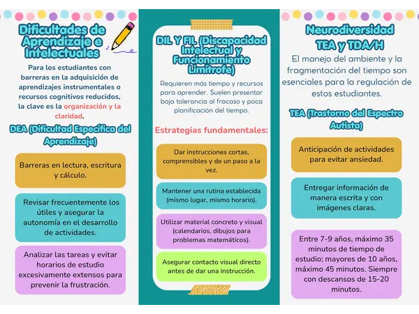 ESTRATEGIAS PARA ABORDAR NEE