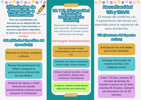 ESTRATEGIAS PARA ABORDAR NEE