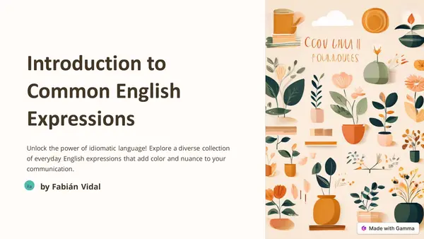 Introduction to common english expressions