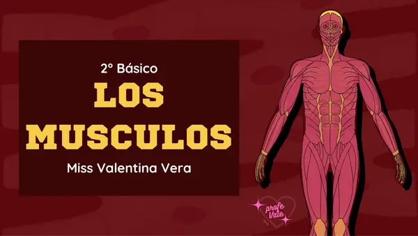 💪 Los músculos y su función – PowerPoint Ciencias Naturales
