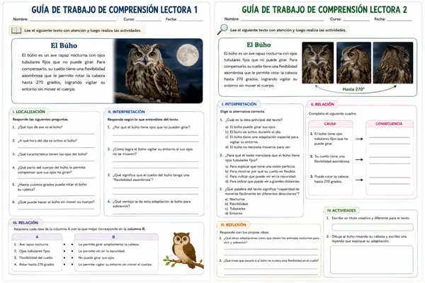 Reyes del aire. comprensión lectora 3 
