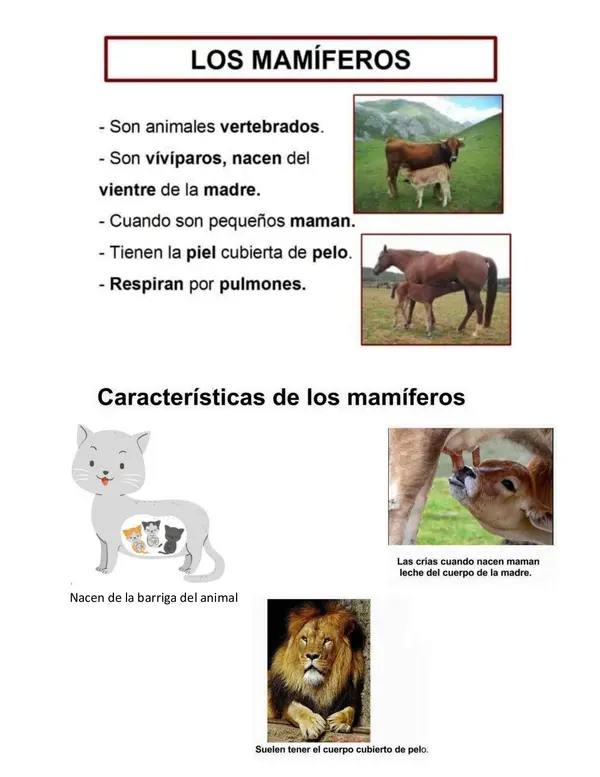 seres vivos 