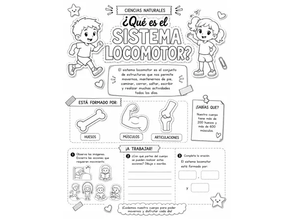 Sistema Locomotor | Ciencias Naturales 4° Básico | 5 Fichas de Trabajo para Colorear