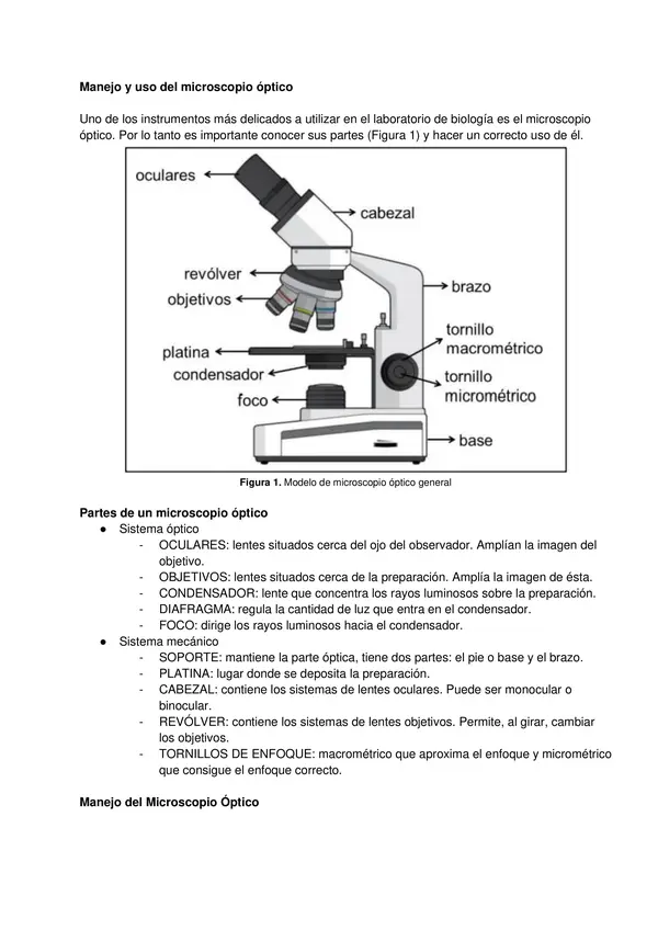 Actividades prácticas de laboratorio Primero medio - Ciencias Naturales