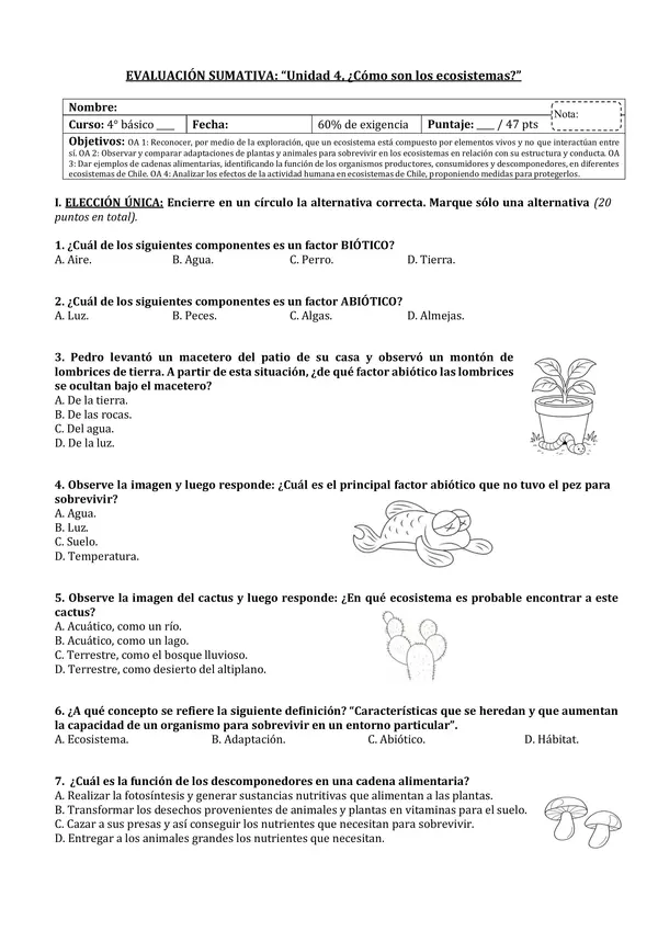 PRUEBA DE ECOSISTEMAS (4° básico ciencias naturales)