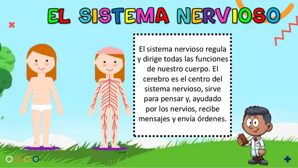 SISTEMA NERVIOSO
