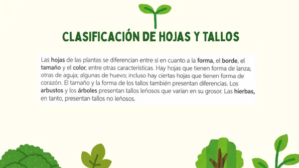 Clasificación de las plantas 
