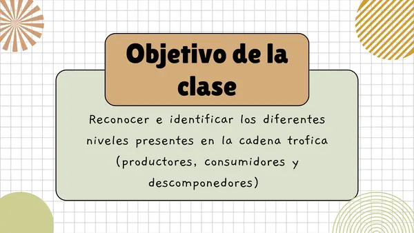 Cadenas tróficas 4° básico