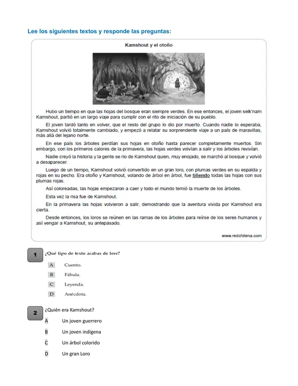 Comprensión lectora