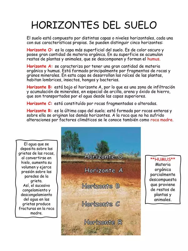 "El suelo". 6° básico. Ciencias Unidad 1. Material de lectura