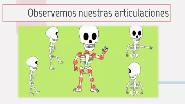 "El esqueleto"