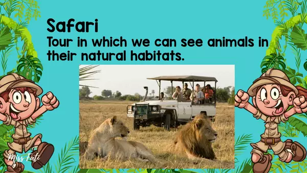 Safari (Animals and Habitats)