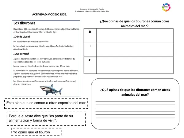 actividad modelo rice 
