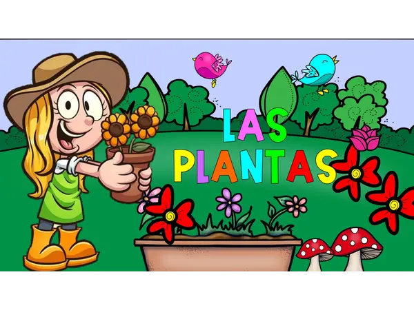 LAS PLANTAS Y SUS PARTES