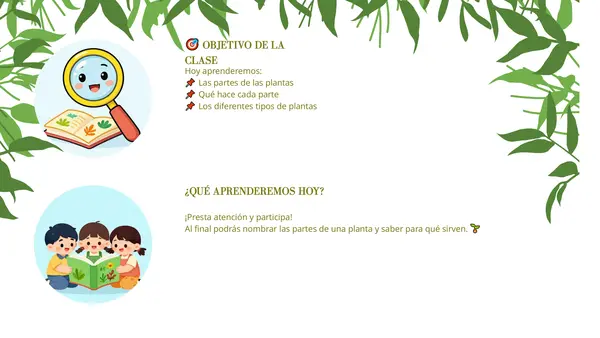 Las plantas: estructura, funciones de sus partes y tipos de plantas