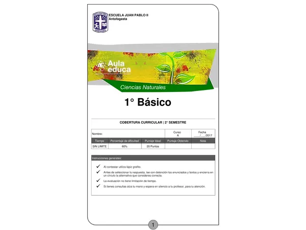 evaluacion PRIMERO BASICO
