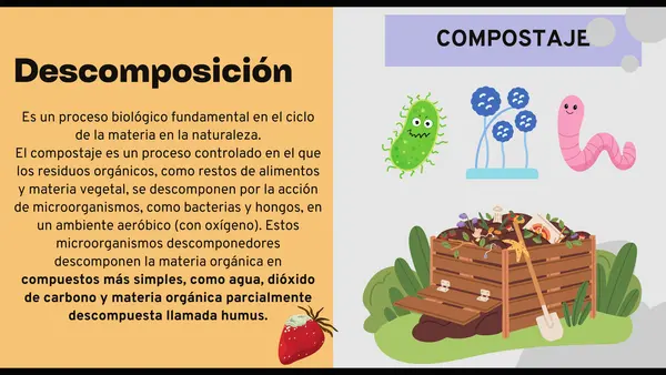 Tipos de ecuaciones químicas en la naturaleza