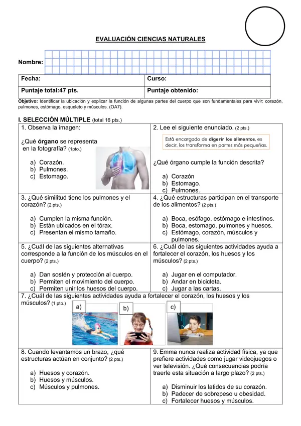 Evaluación ciencias naturales organos de cuerpo y sus funciones