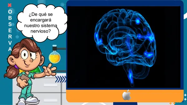 SISTEMA NERVIOSO