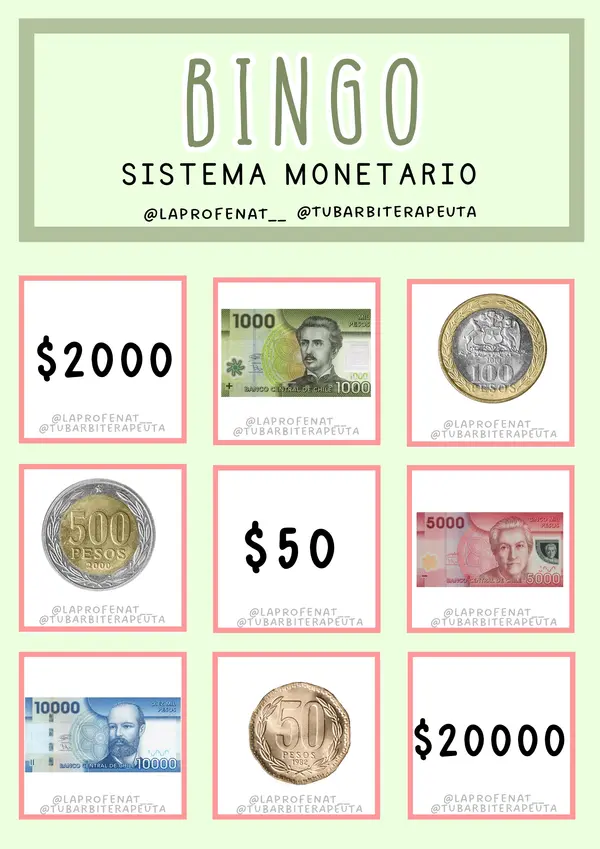 BINGO SISTEMA MONETARIO CHILE ft. tubarbiterapeuta