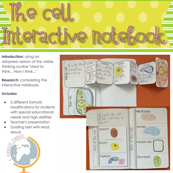 The Cell interactive notebook