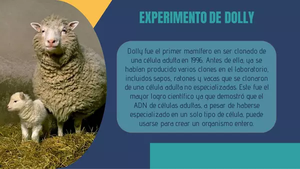 Unidad de genética, contenido abordado con el experimento de la oveja Dolly 