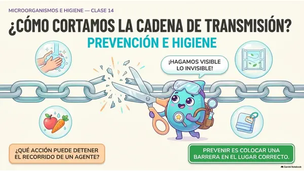 Clase 14 | 5° Básico Ciencias Naturales: Prevención e higiene — Cortar el contagio