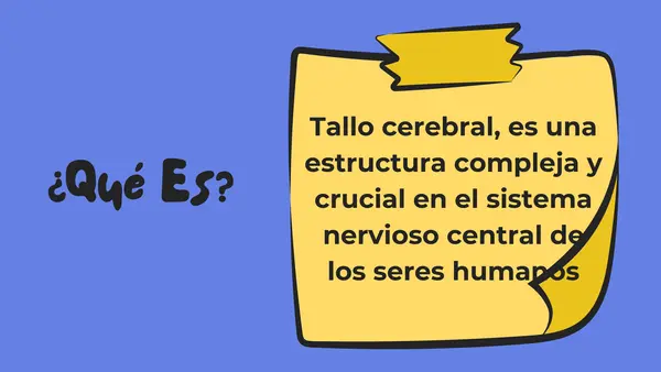 Tronco Encefálico