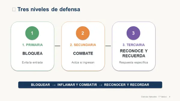 Barrera defensiva del cuerpo 