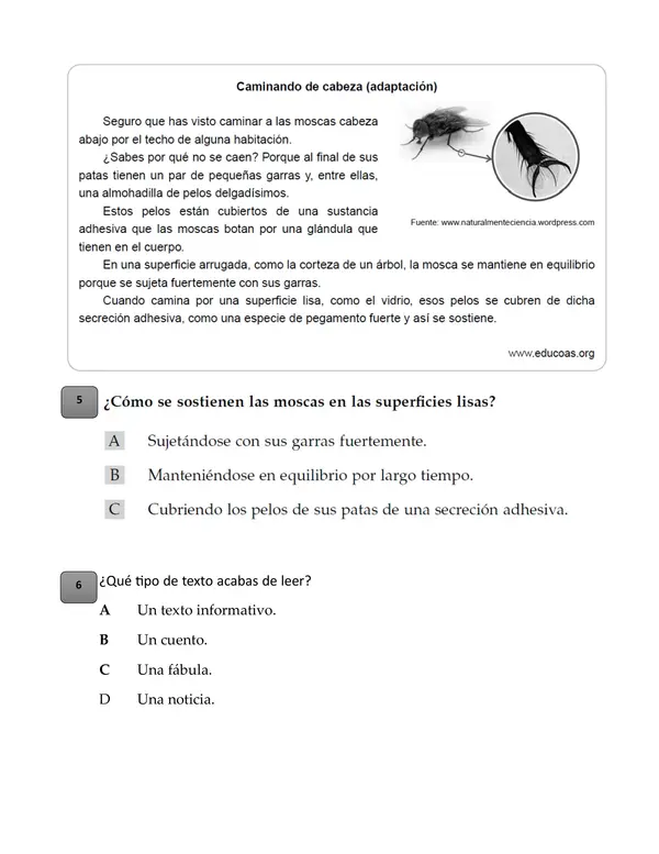 Comprensión lectora