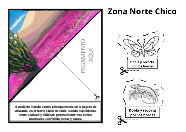 Zonas naturales de Chile 
