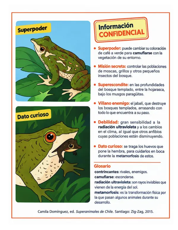 2 textos SIMCES - año 2025