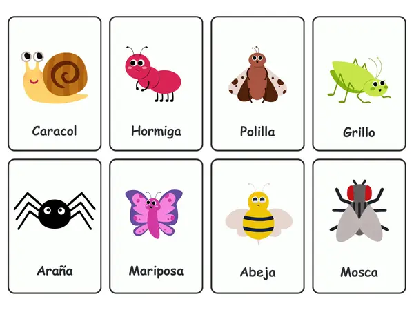 ✨ Flashcards bilingües de insectos (Español & English) ✨