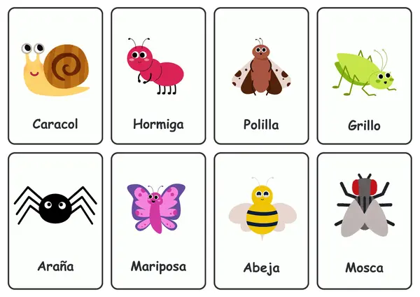 ✨ Flashcards bilingües de insectos (Español & English) ✨