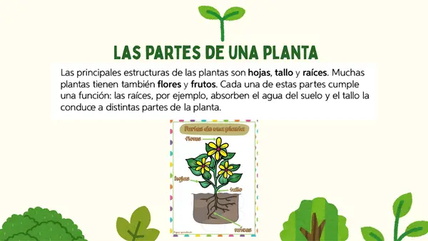 Plantas de la naturaleza