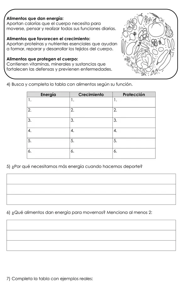 Evaluación Ciencias Naturales – “Somos lo que comemos: del plato a la célula” – 5° Básico, OA 5