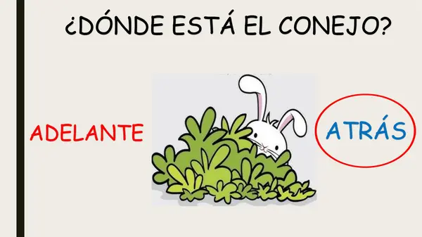 NOCIONES ESPACIALES: ADELANTE-ATRÁS